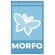 Modelo Recursivo Formacional – MORFO
